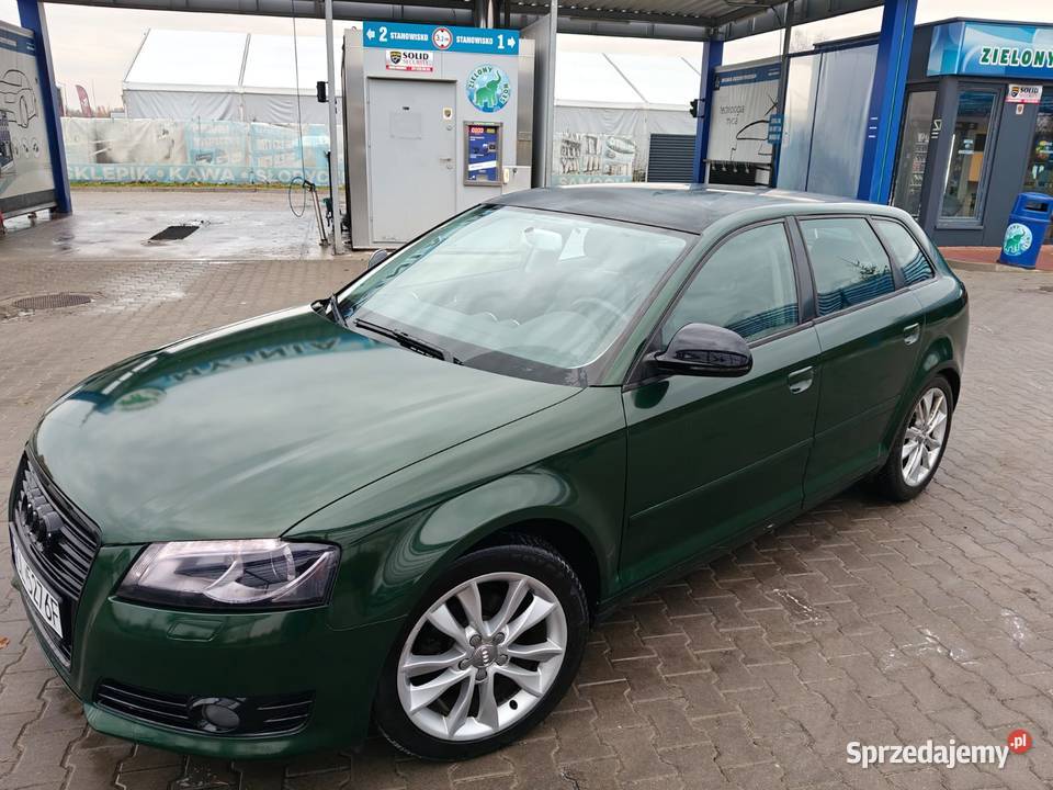 Audi A3 8P Dywity