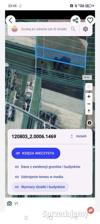 Łąka Pole Bryzdzyn