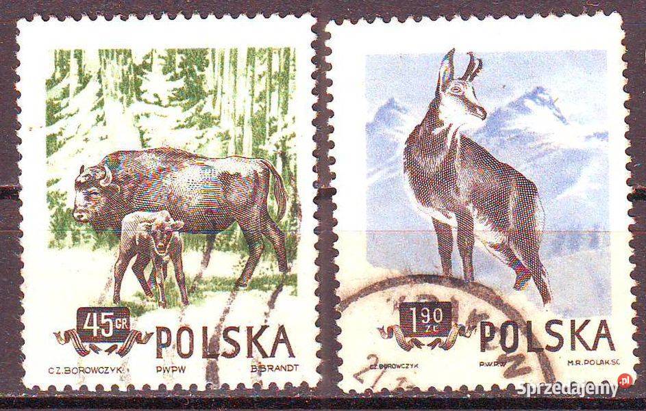 Zn F 743 5 kas 1954 Gliwice