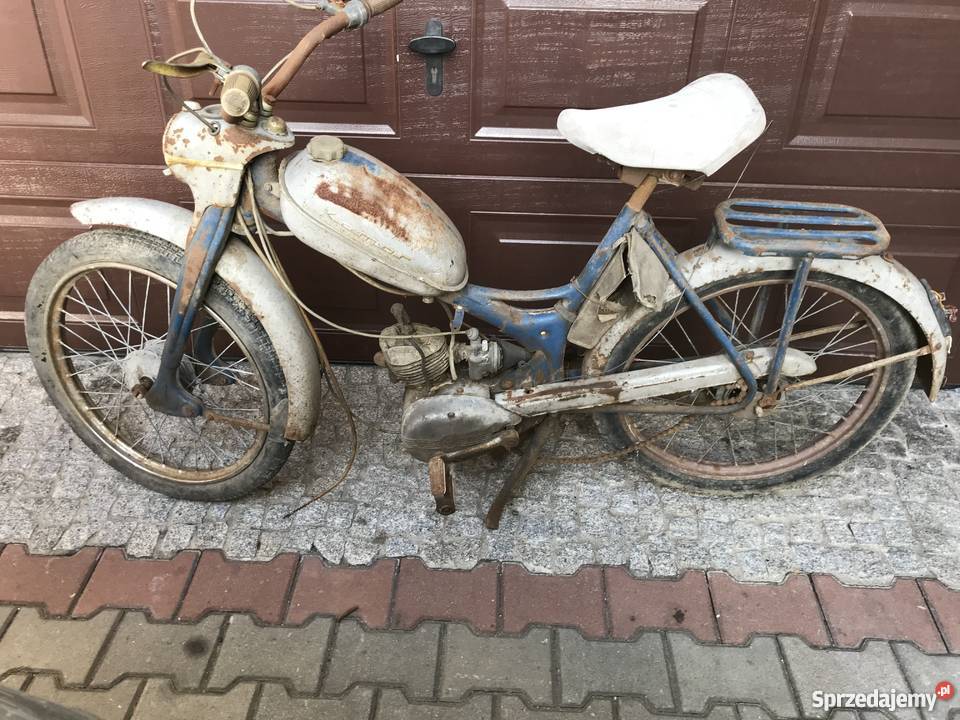 Komar sztywniak 2320 Marklowice