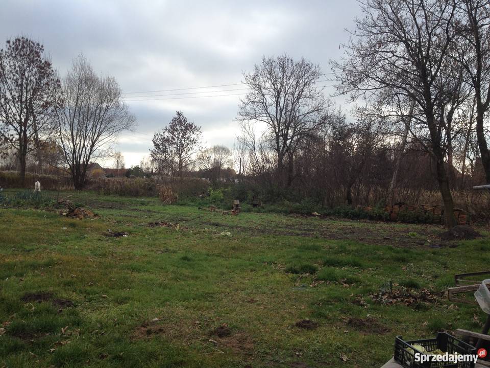 Sprzedam dom na wsi 110m2 działka 2000m2 5 parterowy Domy dolnośląskie Trzebnica