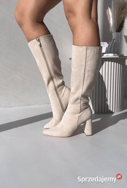 Kozaki na słupku Piotrków Trybunalski