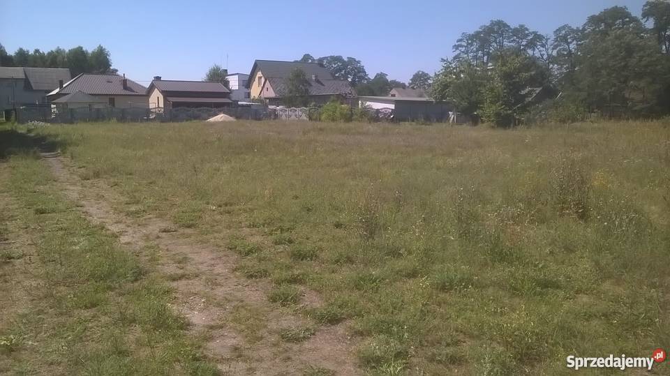 Działka w okolicy Turku Dzierżązna Grunty i działki Turek
