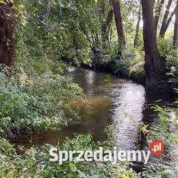 Działka inwestycyjna ze starym młynem Kęty sprzedam
