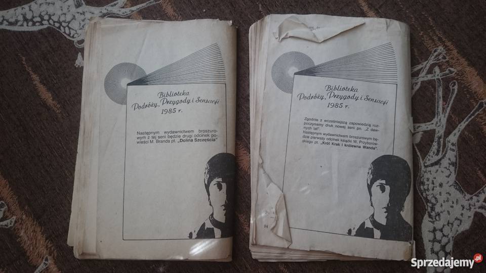 Dolina szczęścia tom 1 i 2 Prasa Książka RUCH Antyki, Sztuka, Kolekcje wielkopolskie Ostrów Wielkopolski