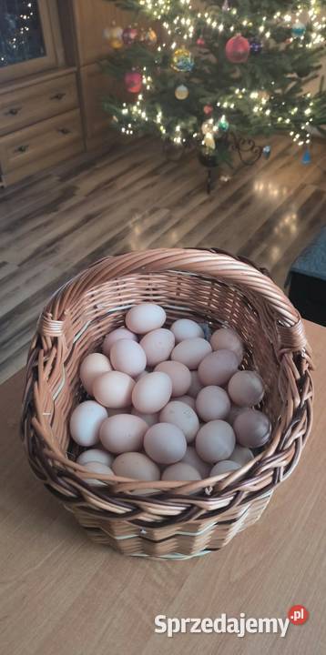 Jajka kur z wolnego wybiegu lubelskie Bronice-Kolonia sprzedam