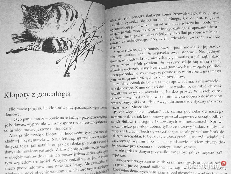 Hipopotam i spółka Jan Żabiński lubelskie Chełm