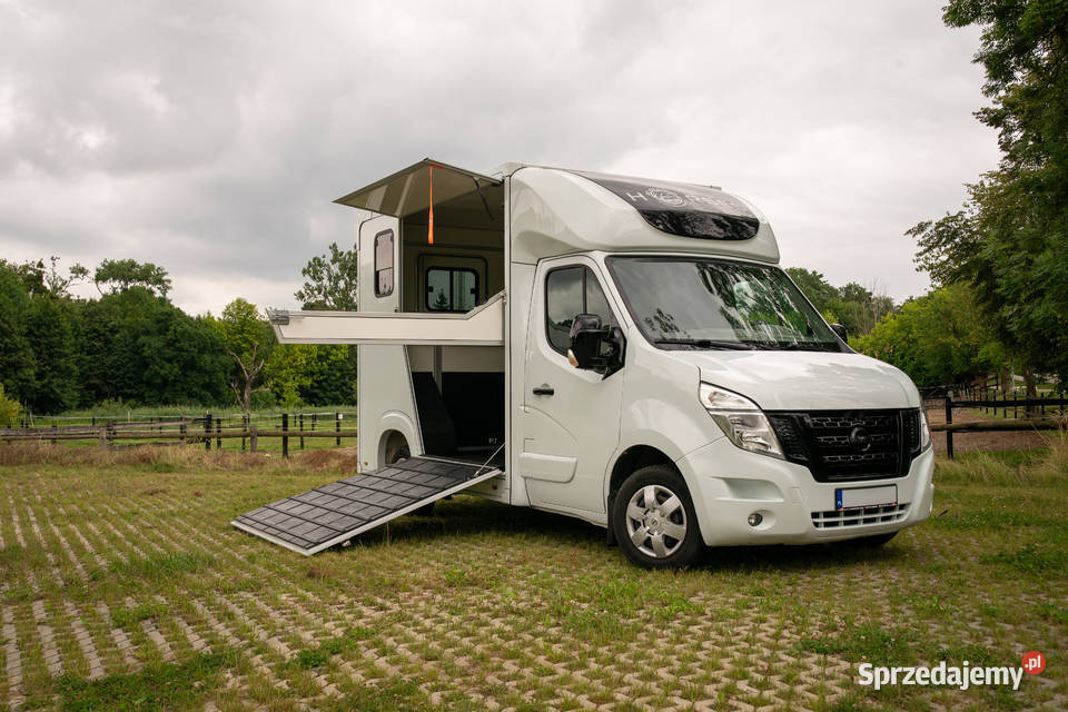 Nissan NV400 KONIOWÓZ Samochód do przewozu koni Rok produkcji 2016 Rokietnica