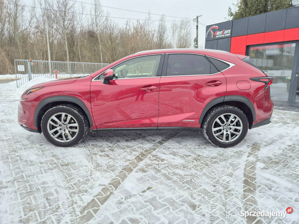 Lexus NX Bezwypadkowy I 20142021 Konstancin-Jeziorna