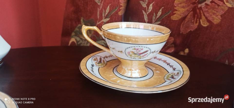 Filiżanka ptaszki Schwarzenhammer Gdańsk