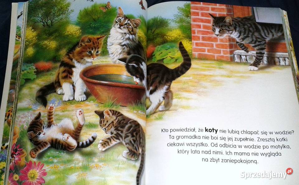 Zwierzęta świata Pere Rovira Francisco Arredondo Chełm