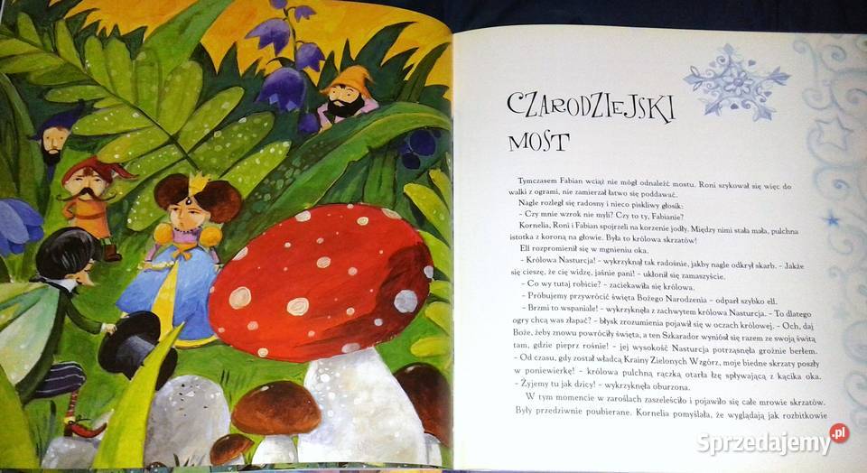 Niezwykłe święta Kornelii Agnieszka Stelmaszyk Rok wydania 2009 Chełm