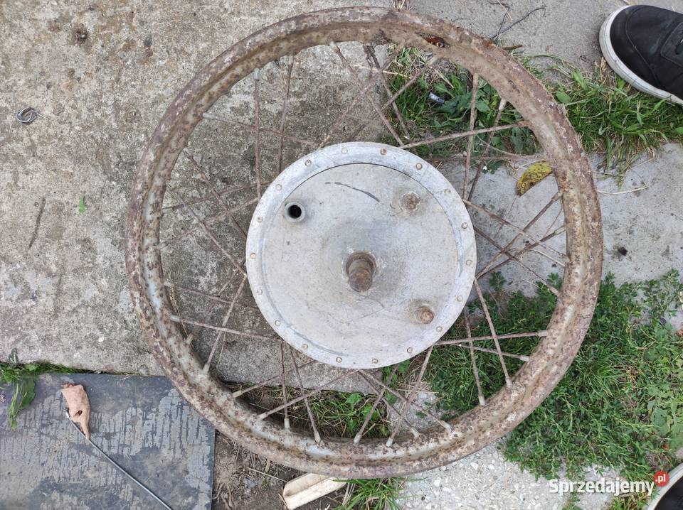 Koło do panoni Pajęczno