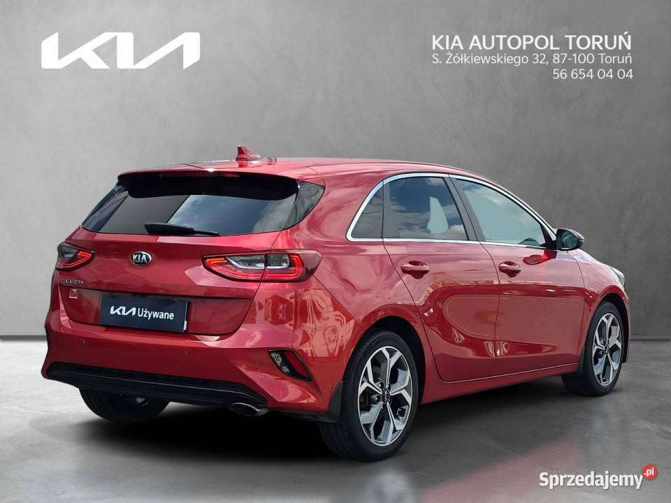 Kia Nowy Ceed Business Line 14 TGDI140 tempomat Kia Toruń