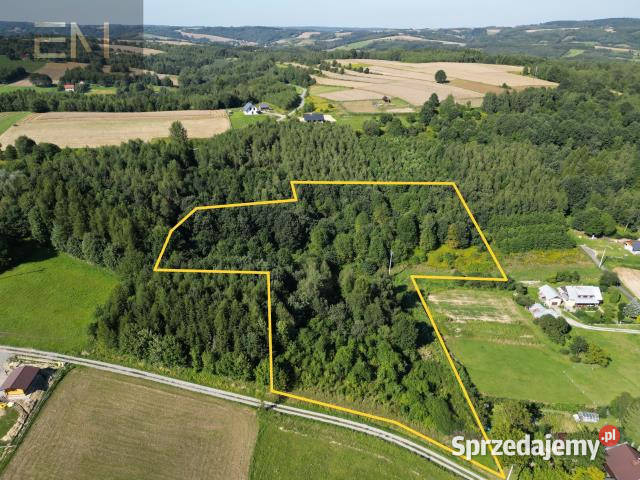 Działka Dobrzechów 13100m2 150m podkarpackie
