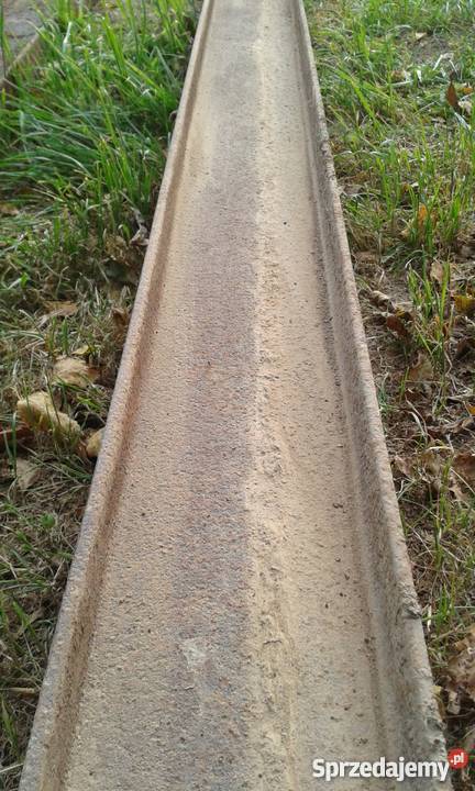 Dwuteowniki długie sprzedam