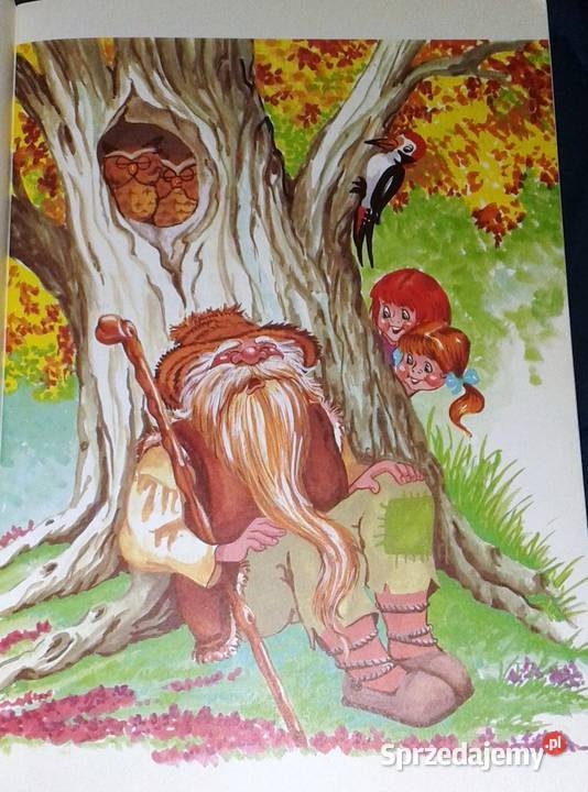 Na jagody Maria Konopnicka Chełm