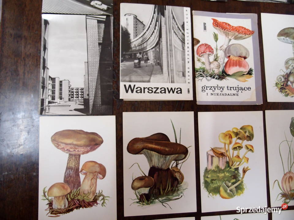 Stare pocztówki wyd Ruch Warszawa i Grzyby Łódź