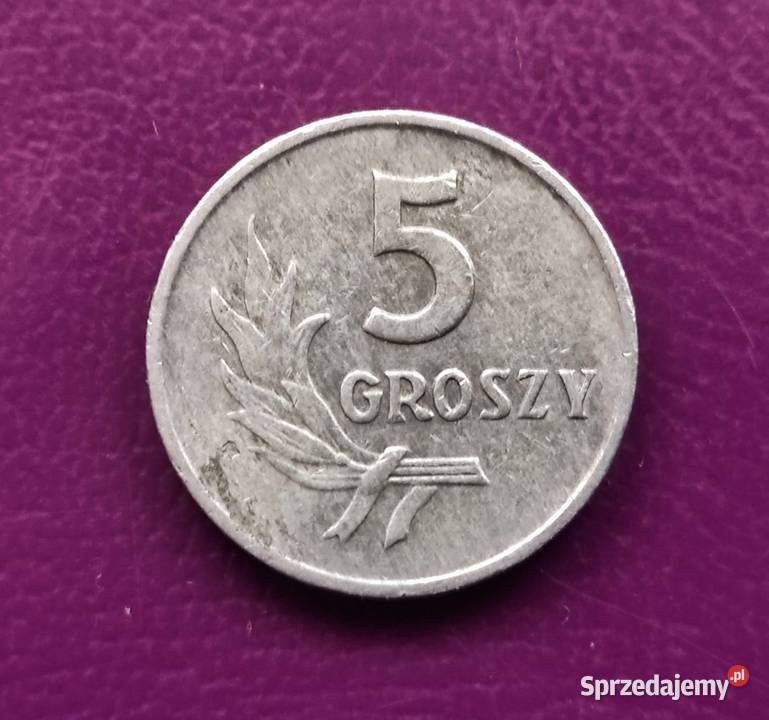 Moneta z PRLu 5 groszy 1963 r Ładna i rzadka Pruszków