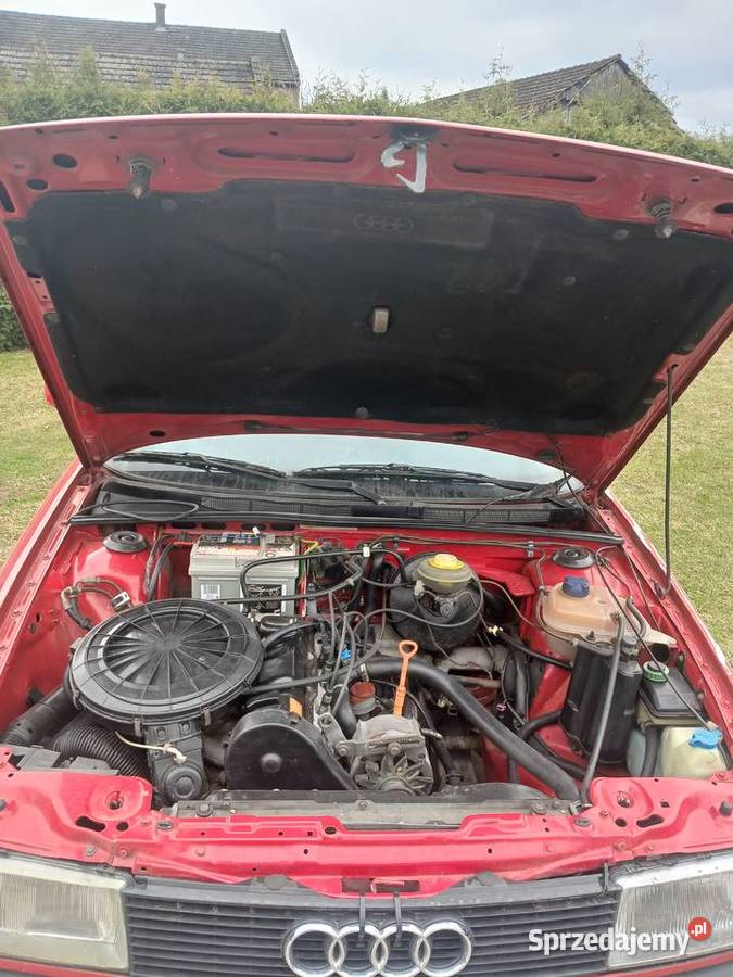 Audi 80 nieuszkodzony