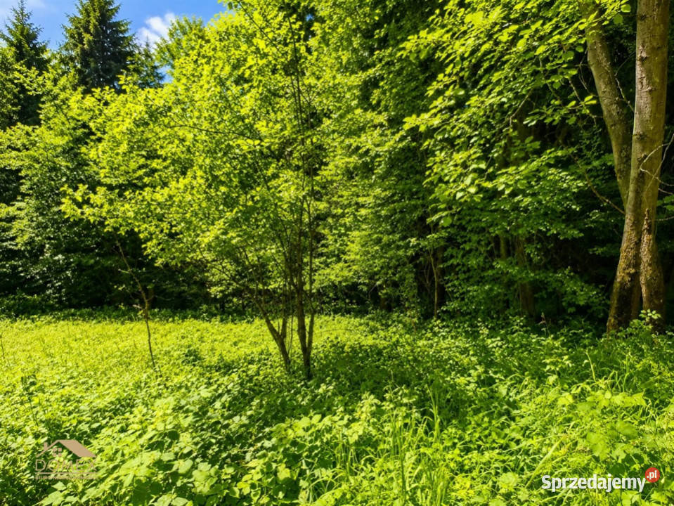 Działka Milówka 1161m2 śląskie