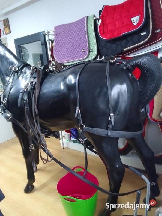 Uprząż biothan singiel cob pony shetty Pietrowice Wielkie