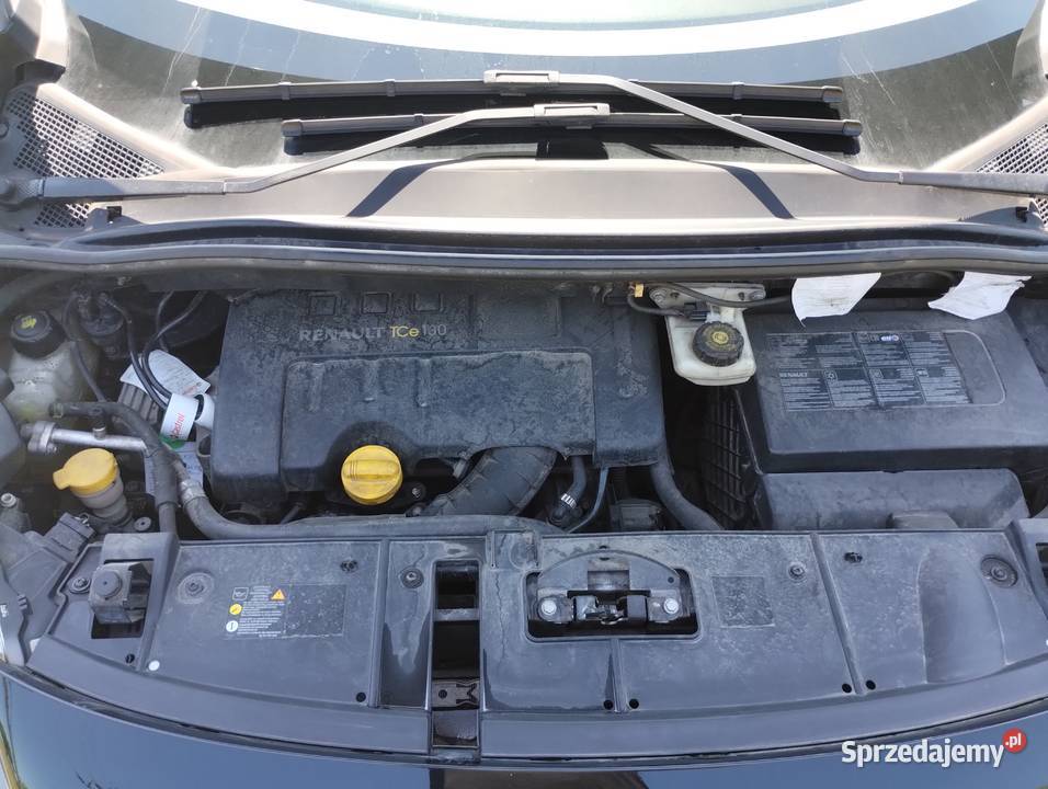Renault Scenic 14 16V TCE SALON POLSKA Scenic Poznań