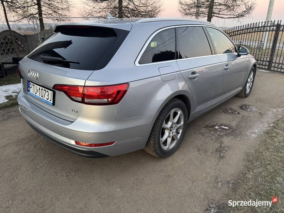 Audi A4 B9 Avant 20 TDI 150 manual Brudzew