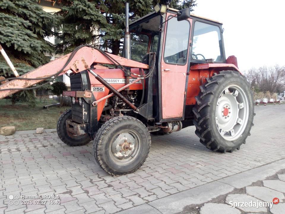 Massey Ferguson MF 255 ursus 3512 Massey Ferguson Świdnik sprzedam