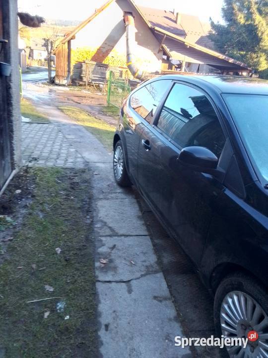 Ford focus Cięcina