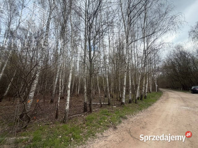 Dom wolnostojący KonstancinJeziorna 26341m2 Sprzedaż Konstancin-Jeziorna sprzedam