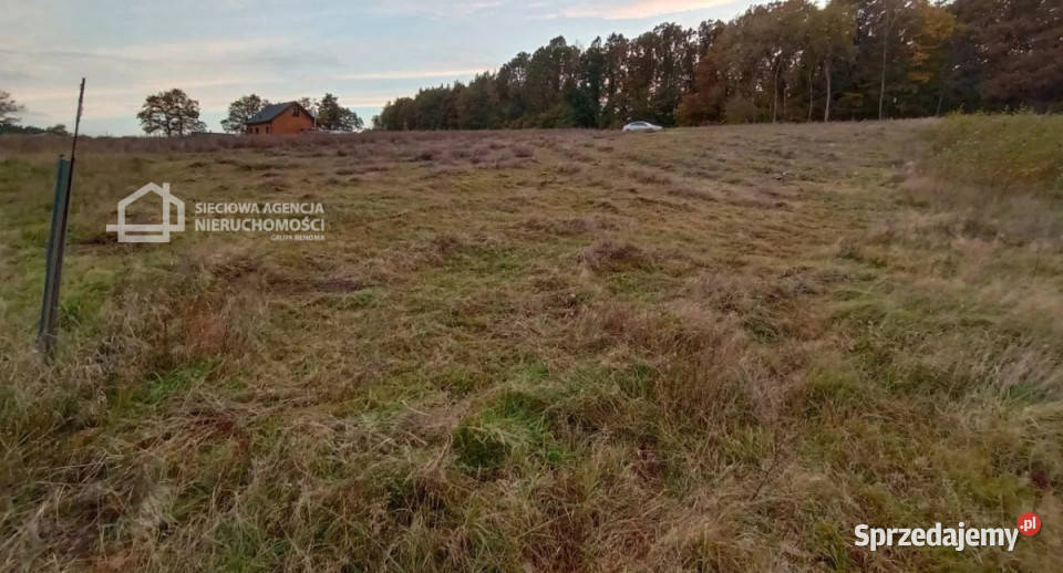sprzedaży gruntu Skrzeszewo 1070m2