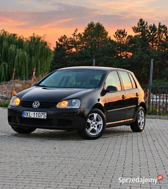 Volkswagen Golf V 16 mpi Łańcut
