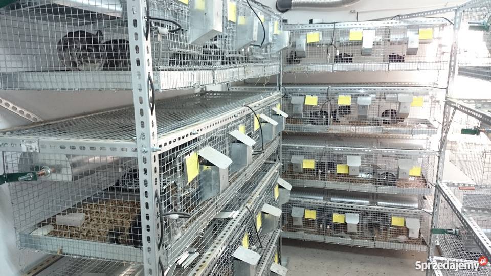 SOLIDNE REGAŁY MAGAZYNOWE 2000x990x500