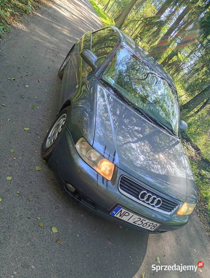 Audi A3 19 TDI 130 warmińsko-mazurskie Pisz
