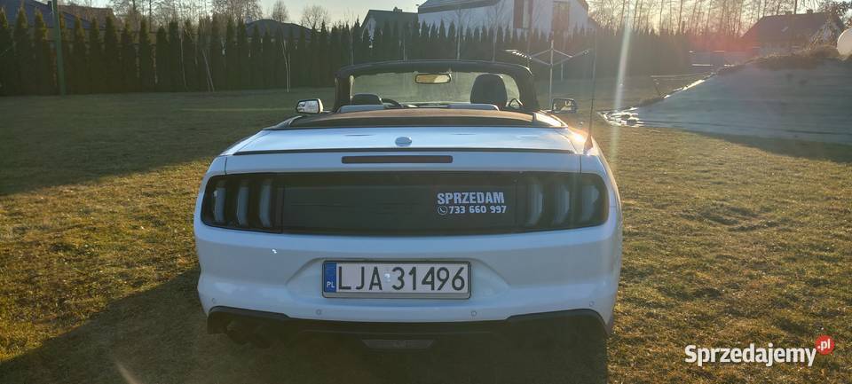 Ford Mustang GT 50 V8 Convertible kabriolet sprowadzony