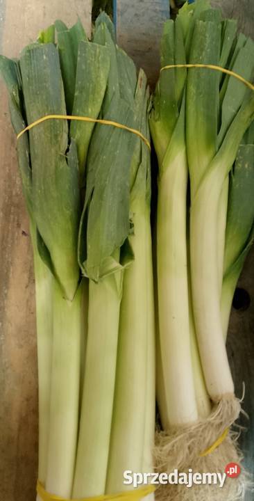 Por warzywa Łaźniewek sprzedam