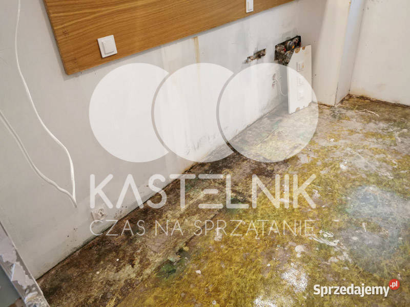 Sprzątanie zalaniach usuwanie szkód Brzeszcze małopolskie