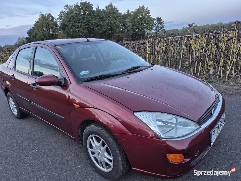Ford focus 18 tdci 90 diesel sedan manual nieuszkodzony Focus Tuliszków
