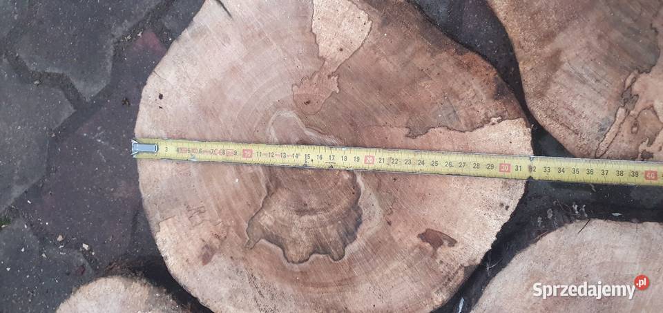 Plastry drewna Pakość