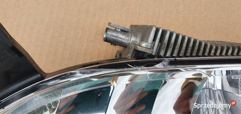 SCANIA NGS HALOGEN 2659163 lubuskie Bieleń