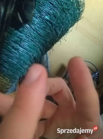 Lustro ścienne 40x60 rama metalowa kwiaty róże małopolskie Kraków sprzedam