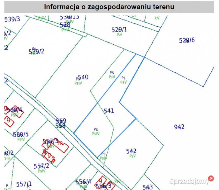 Działka 4295 m złożony wniosek o WZ na dwa domy lubuskie Dzietrzychowice sprzedam