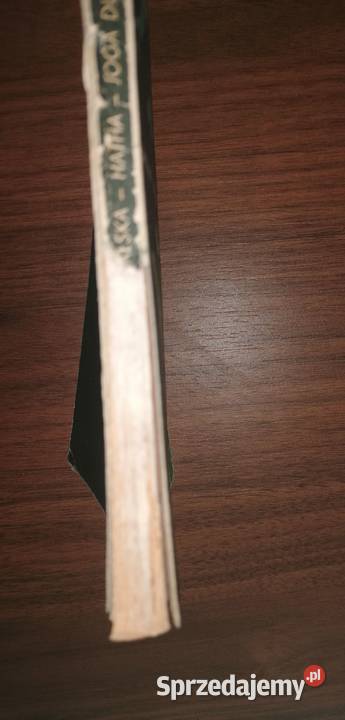 HathaJoga wszystkich Malina Michalska Łódź sprzedam