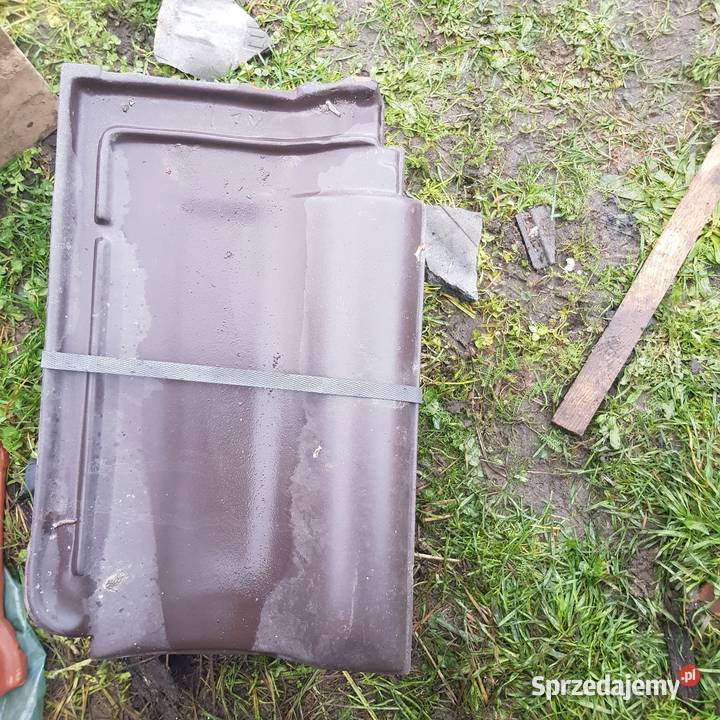 DACHÓWKA ROBEN FLEMING brąz 50 Czarnków