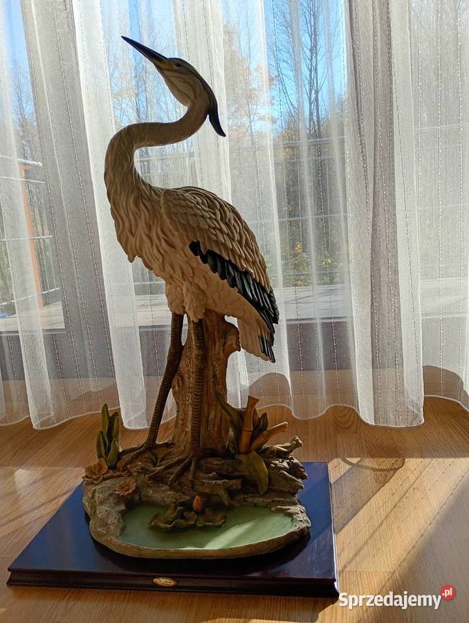 C Z A P L A duża żywa Ustroń sprzedam