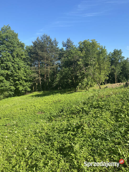 Działka budowlana z prywatnym lasem 18 arów 1860m2