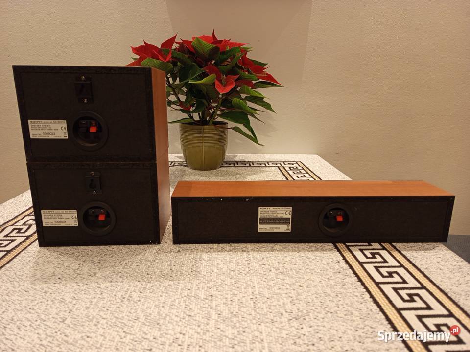 Głośniki Sony sssr250 i sscn900 do kina domowego Józefosław