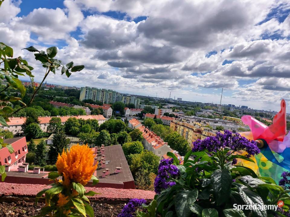 Sprzedam mieszkanie 3 pokoje Wrocław