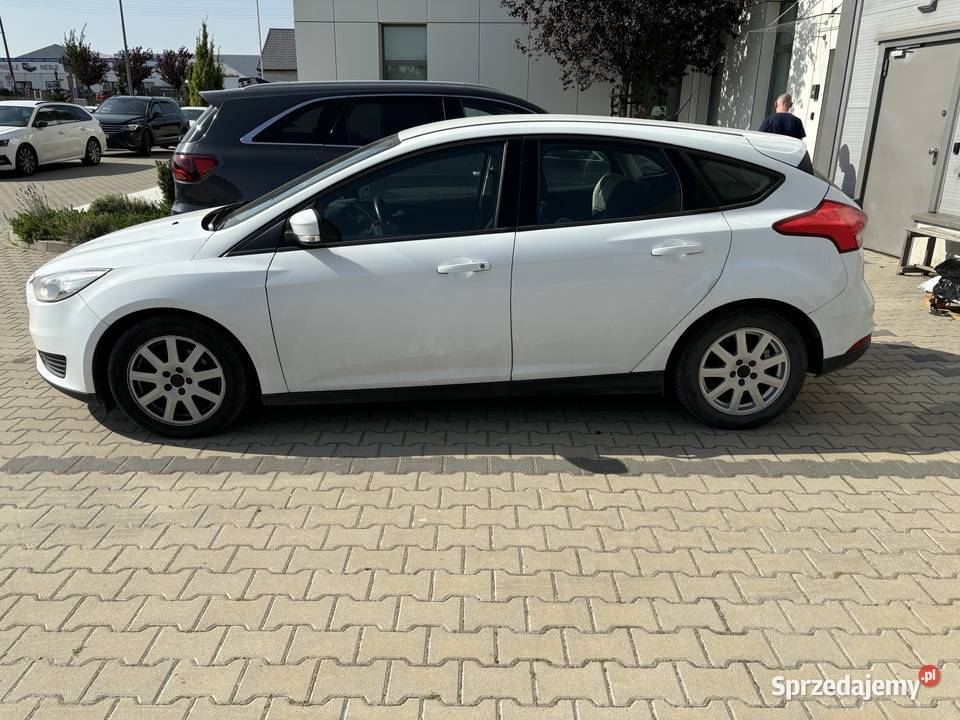 Ford Focus MK3 FL 15 TDCi 122015 Salon Polska Murowana Goślina